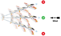 Thumbnail for version as of 08:41, 11 April 2024
